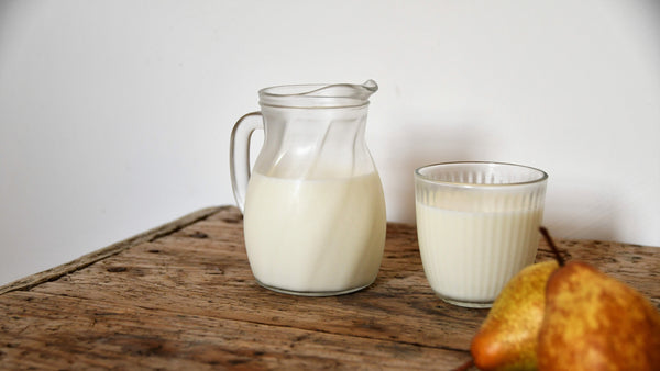 Quel lait privilégier pour une meilleure immunité ?